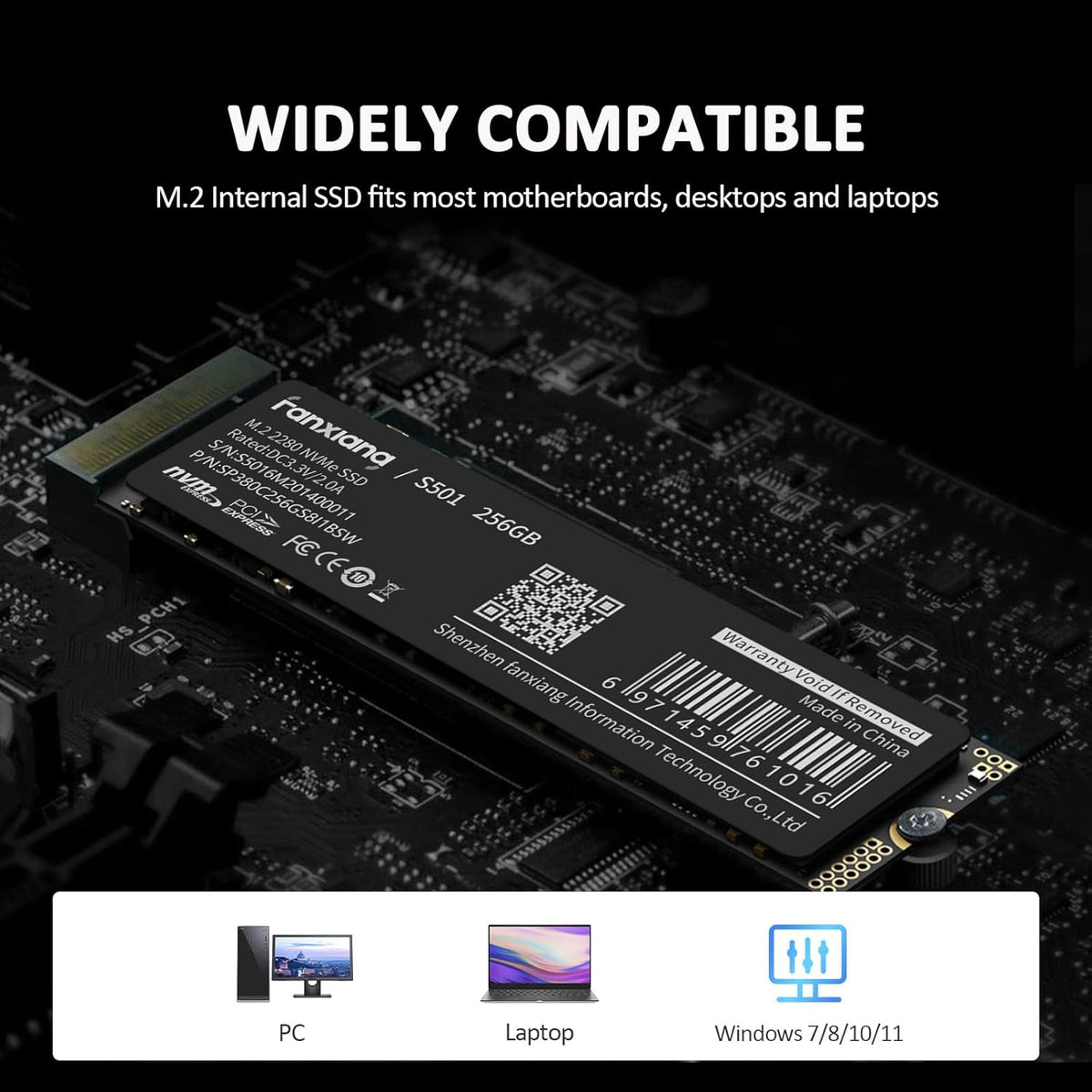 fanxiang S501 256GB NVMe SSD 3D NAND1.3 PCIe Gen3x4 M.2 2280 Unidad...
