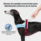 VETRESKA Juego de arnés y correa para perro, arnés ajustable para mascotas