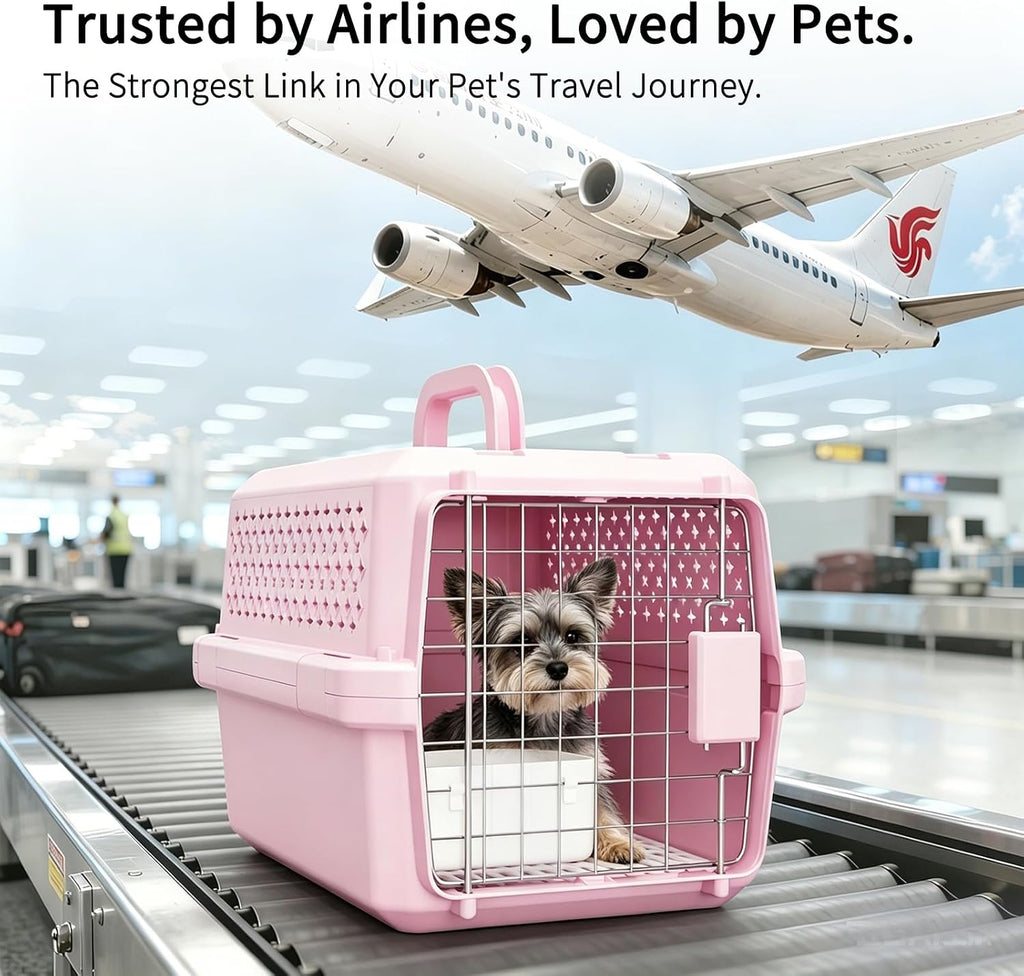 Transportador de mascotas de aerolínea: caja pequeña para gatos y