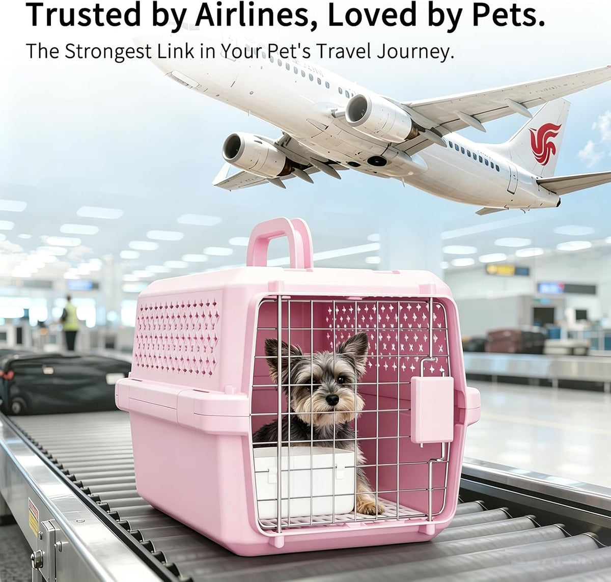 Transportador de mascotas de aerolínea: caja pequeña para gatos y