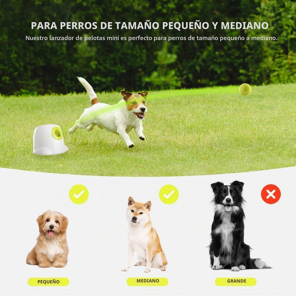 ALL FOR PAWS - Lanzador automático de bolas para perros, juguete interactivo para perros pequeños a medianos, máquina lanzadora de mascotas recargable para jugar en interiores y exteriores