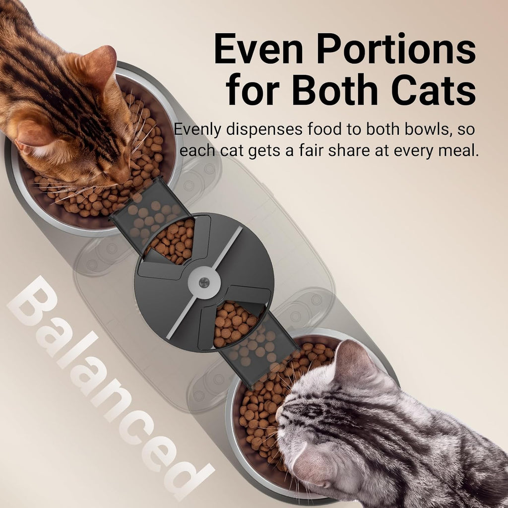 DownyPaws Alimentador automático para gatos 2 gatos, dispensador