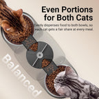 DownyPaws Alimentador automático para gatos 2 gatos, dispensador