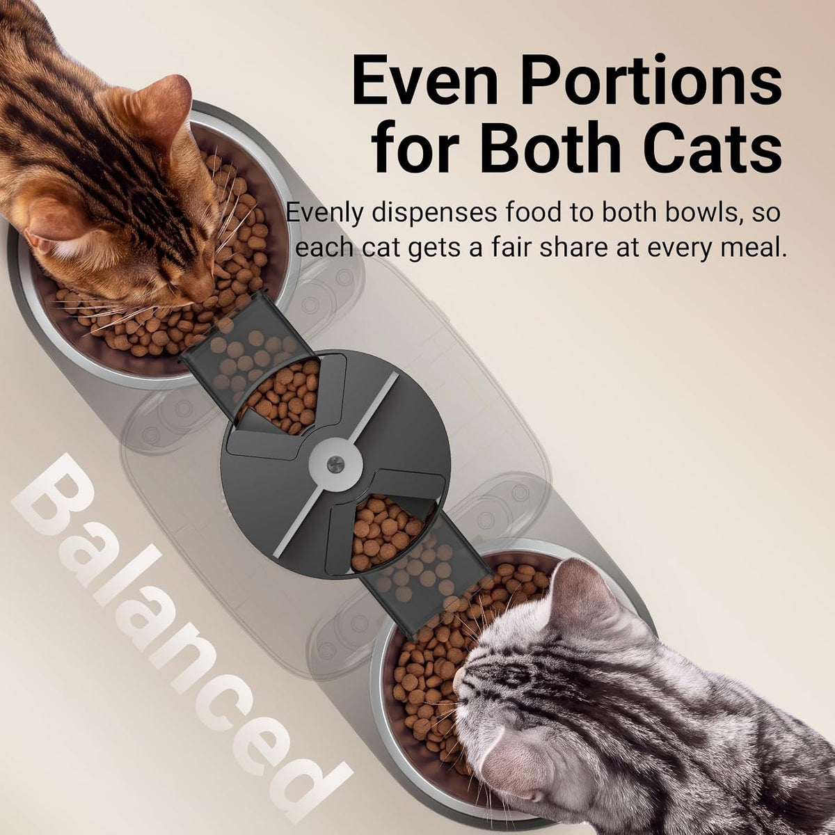 DownyPaws Alimentador automático para gatos 2 gatos, dispensador