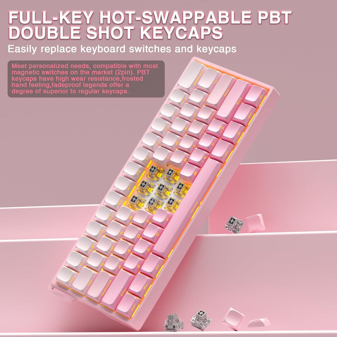 Aula WIN60 HE - Teclado mecánico para juegos 60% con cable, interru...