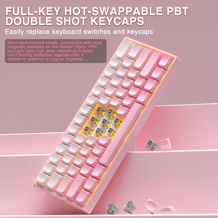 Aula WIN60 HE - Teclado mecánico para juegos 60% con cable, interru...