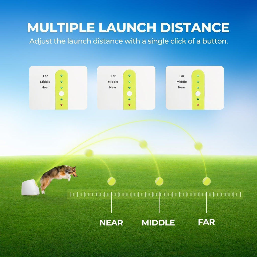 ALL FOR PAWS Lanzador automático de bolas para perros, juguete interactivo para perros medianos a grandes, máquina lanzadora de bolas recargable para mascotas para jugar al aire libre, 6 bolas de 2.5 pulgadas incluidas