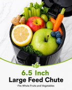 AMZCHEF Exprimidor de prensa en frío, Juicer lento de autoalimentación de