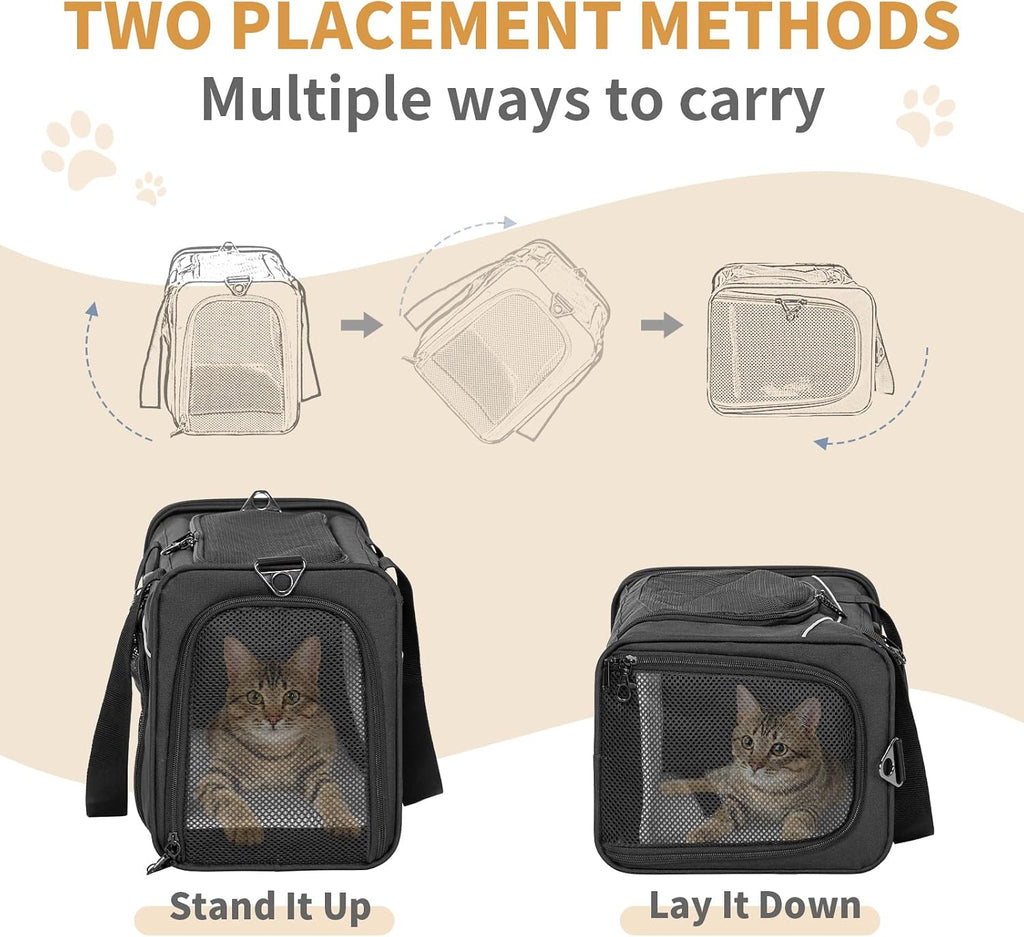 Petsfit Transportador de aerolíneas para gatos pequeños, colocación
