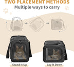 Petsfit Transportador de aerolíneas para gatos pequeños, colocación