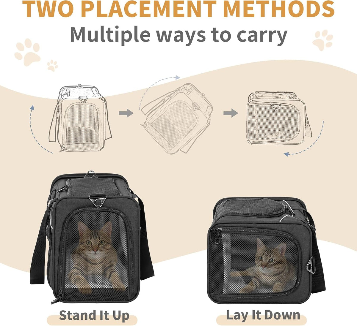 Petsfit Transportador de aerolíneas para gatos pequeños, colocación