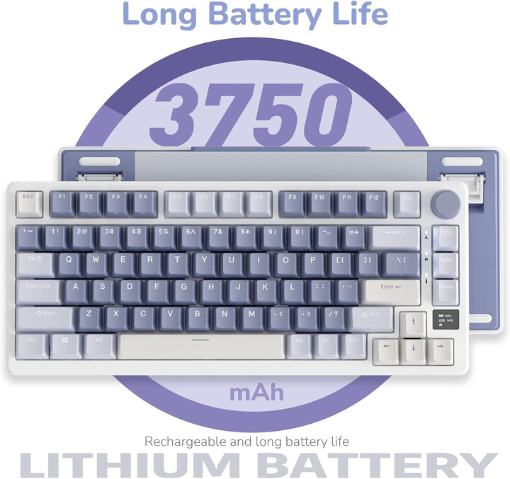 RK ROYAL KLUDGE M75 - Teclado mecánico con pantalla inteligente OLE...