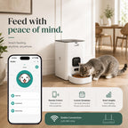 Alimentador automático para gatos con aplicación: dispensador de alimentos