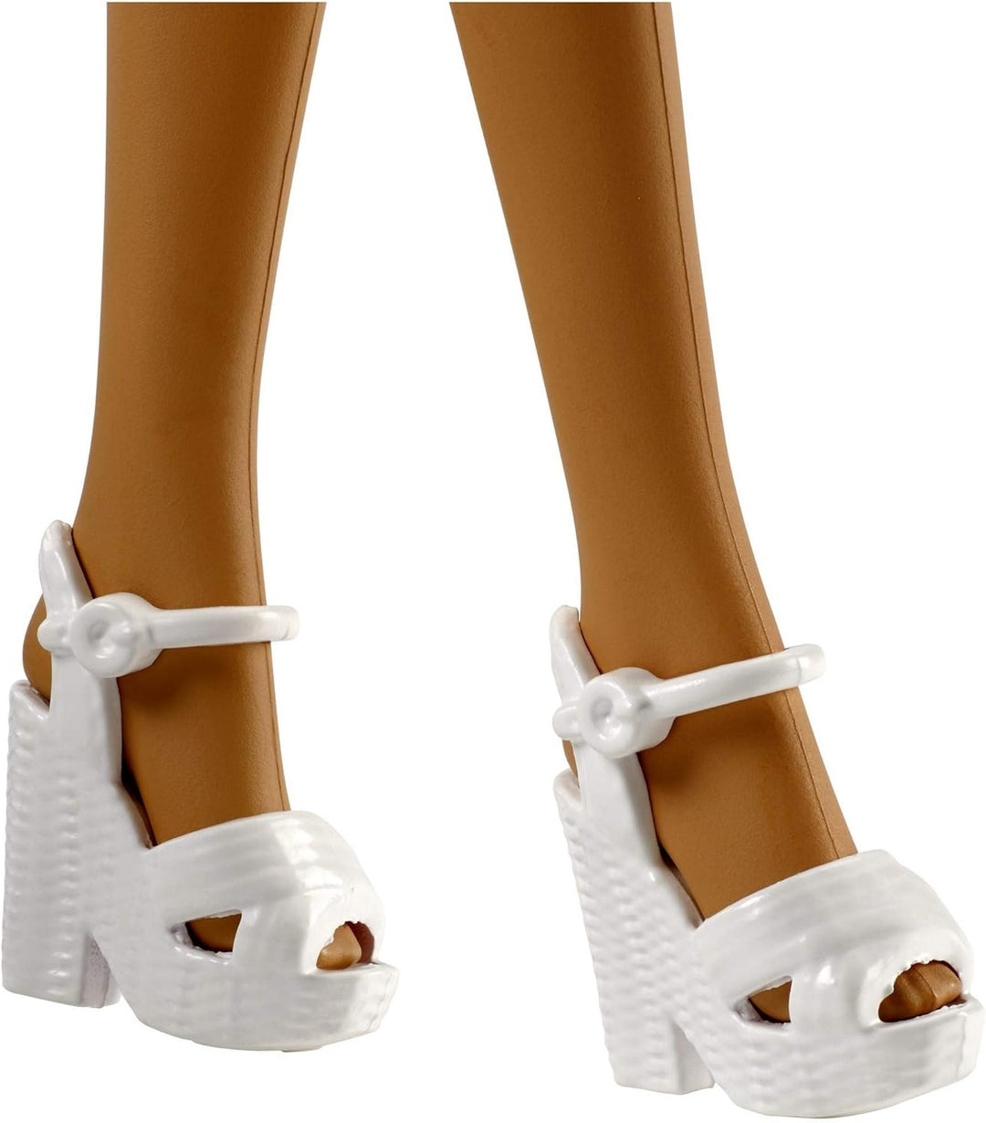 Barbie Muñeca y accesorios