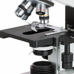 AmScope Microscopio binocular del estudiante B490B-5M, cámara de 5MP