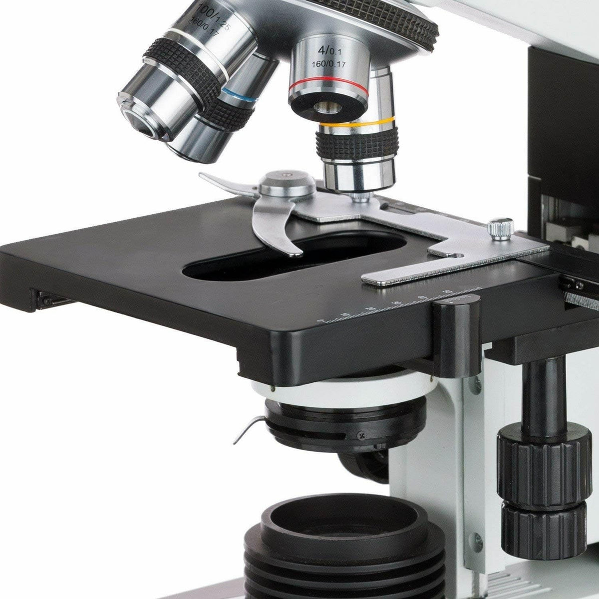 AmScope Microscopio binocular del estudiante B490B-5M, cámara de 5MP