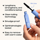 ALLEYOOP Everyday Essentials - Kit de maquillaje + hisopos para qui...