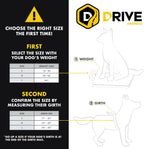 EzyDog Arnés de coche Drive Dog, probado en choques y certificado, mediano