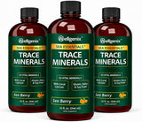 Wellgenix Sea Essentials Vital Nutrients - Multivtamina líquida de...