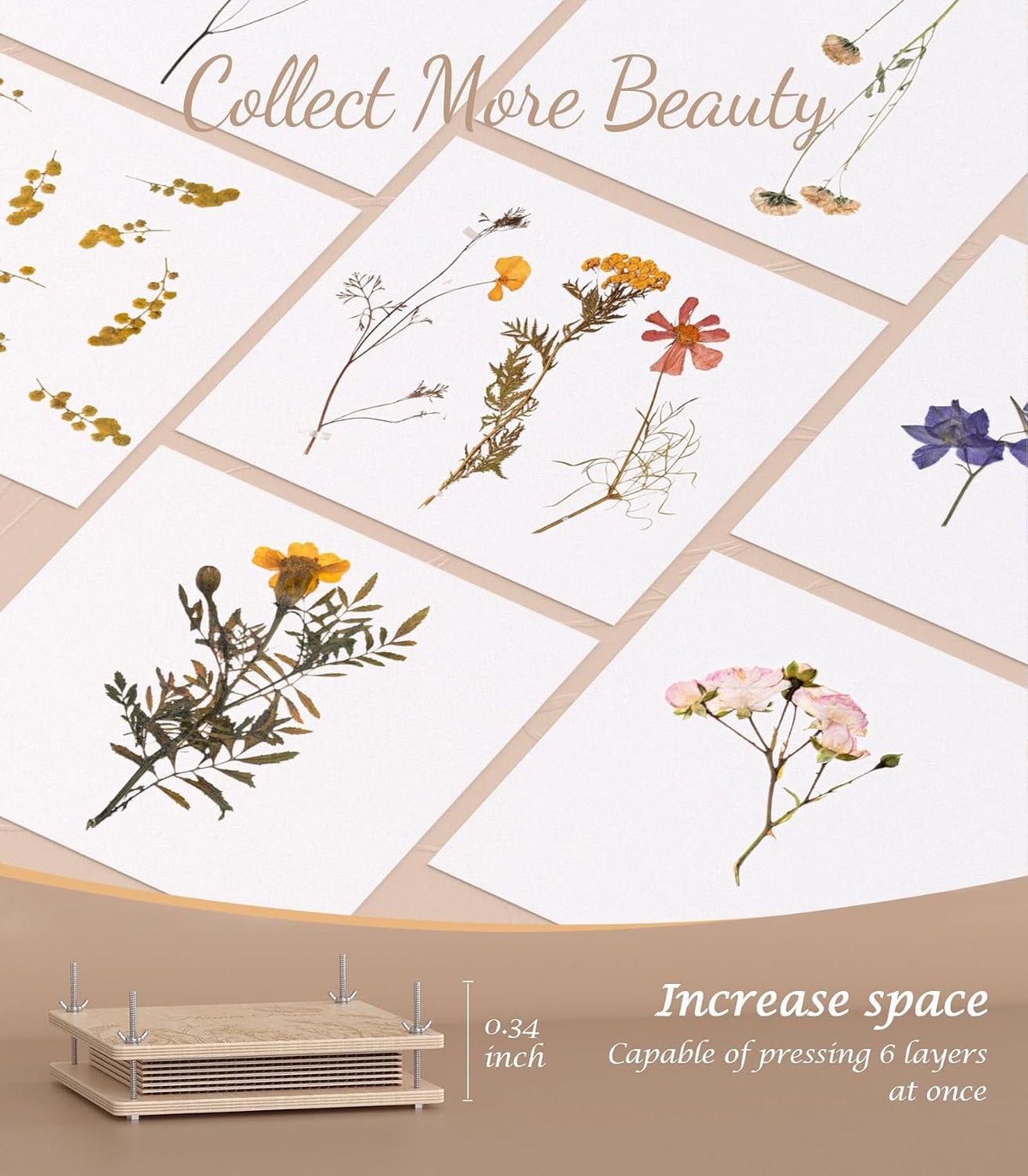 Kit de prensa de flores Wakhow – 27.9 cm x 27.9 cm Prensa de flores grande de madera para adultos y adolescentes | Elaboración de ramos de flores DIY y arte con flores secas | Regalo ideal para