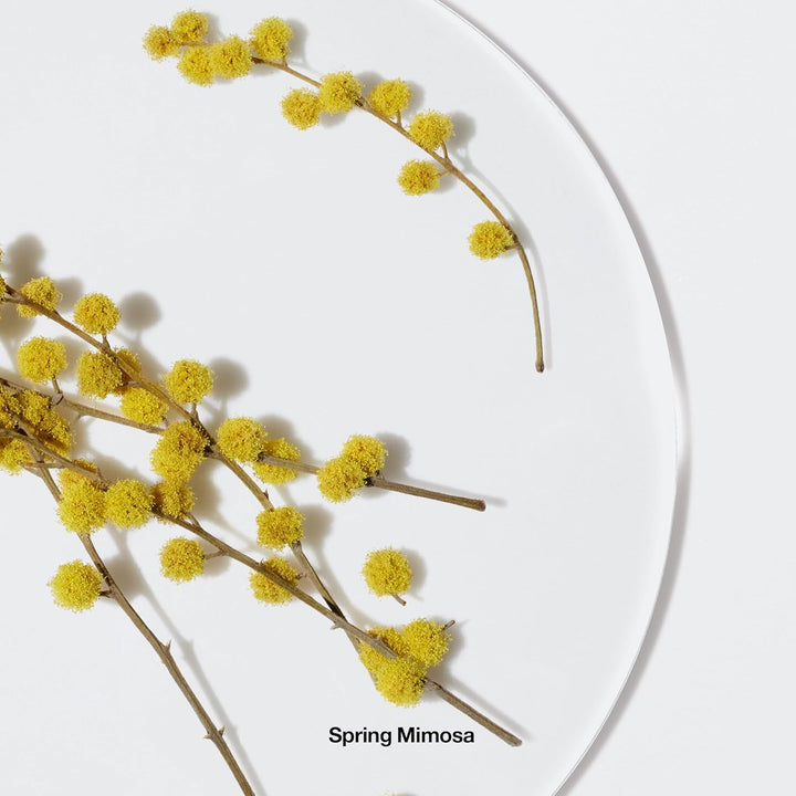 Clinique Happy Body Spritz | Notas de pomelo, bergamota, flor de bo...