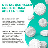 Flintts Mints Mint Stash - Mentas deliciosas sin azúcar para alivio...