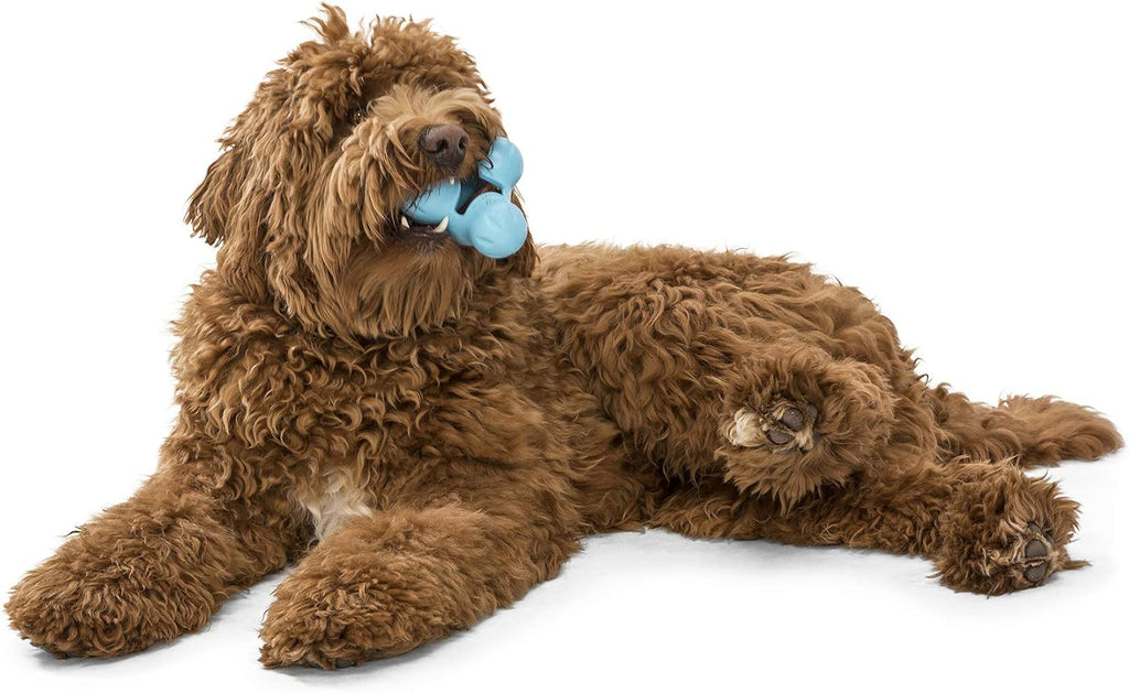 West Paw Zogoflex Tux dispensador interactivo de comida para perro, juguete masticable para perros agresivos, 100% resistencia garantizada, flota, fabricado en EE. UU., L, Agua (Aqua)