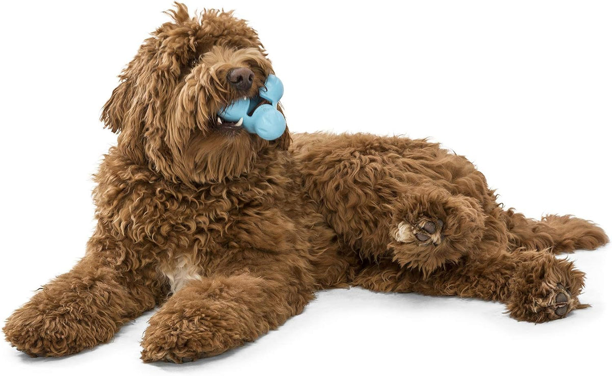 West Paw Zogoflex Tux dispensador interactivo de comida para perro, juguete masticable para perros agresivos, 100% resistencia garantizada, flota, fabricado en EE. UU., L, Agua (Aqua)