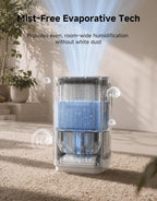 Dreame Humidificador sin niebla H40, purificación de 3 etapas para aire