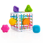Fat Brain Toys InnyBin Juguetes de aprendizaje de forma, juguetes sensoriales para bebés y niños pequeños, juguetes para bebés a partir de 10 meses+