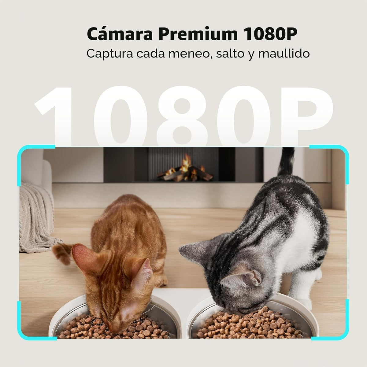 PETLIBRO Comedero automático para gatos con cámara para dos gatos, video HD 1080P con visión nocturna, alimentador WiFi 5G para mascotas con control de aplicación de teléfono