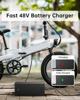 WUKUR Cargador de scooter eléctrico de 546 V 2A para
