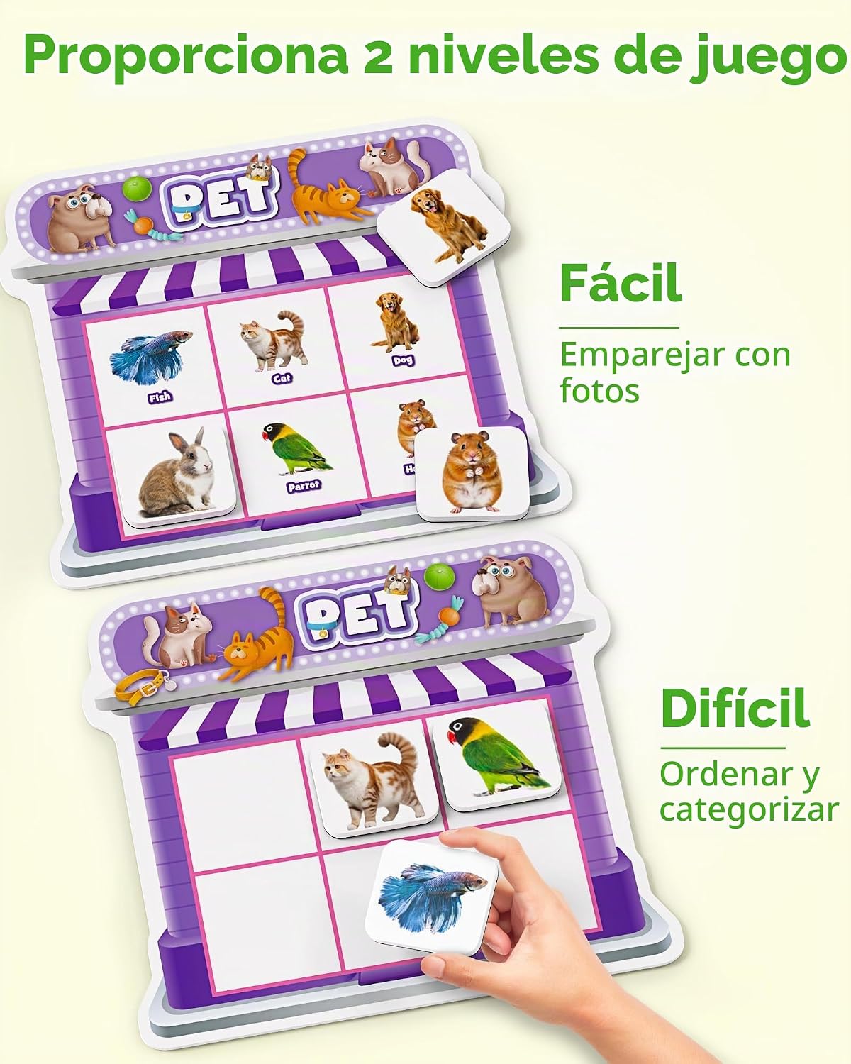Coogam - Juguetes de clasificación magnética, juego de imanes