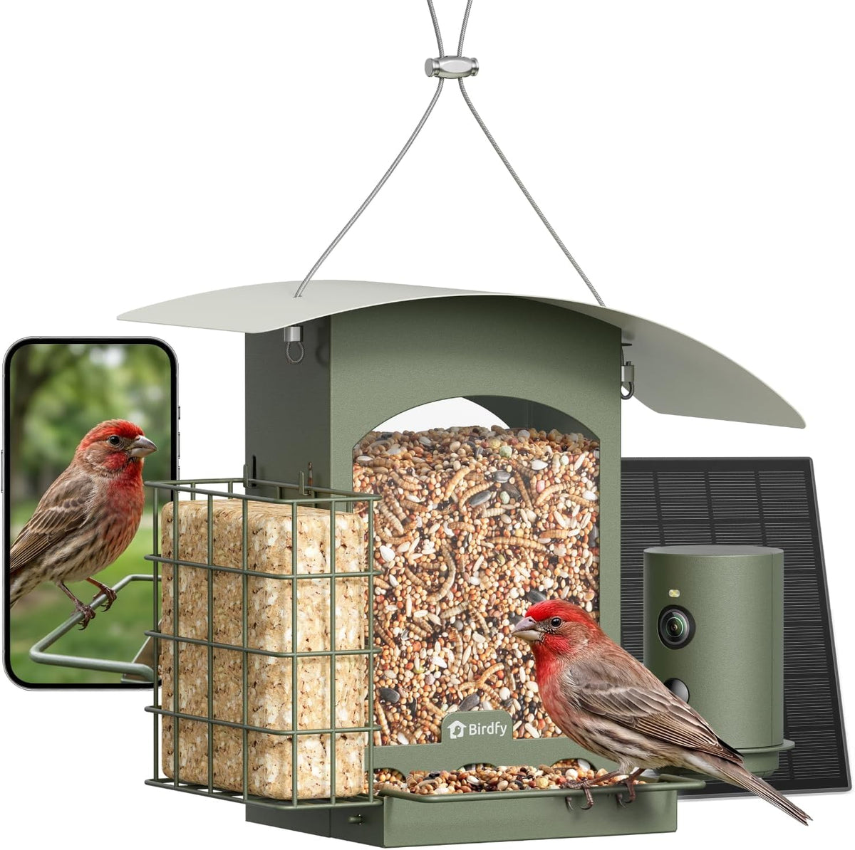 Comedero inteligente para aves Birdfy con cámara, comedero colgante solar
