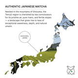 FKRO Té verde Matcha orgánico de grado ceremonial Primera