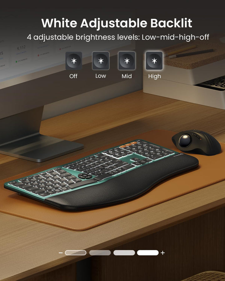 ProtoArc Teclado ergonómico Bluetooth retroiluminado, EK01 Plus, te...