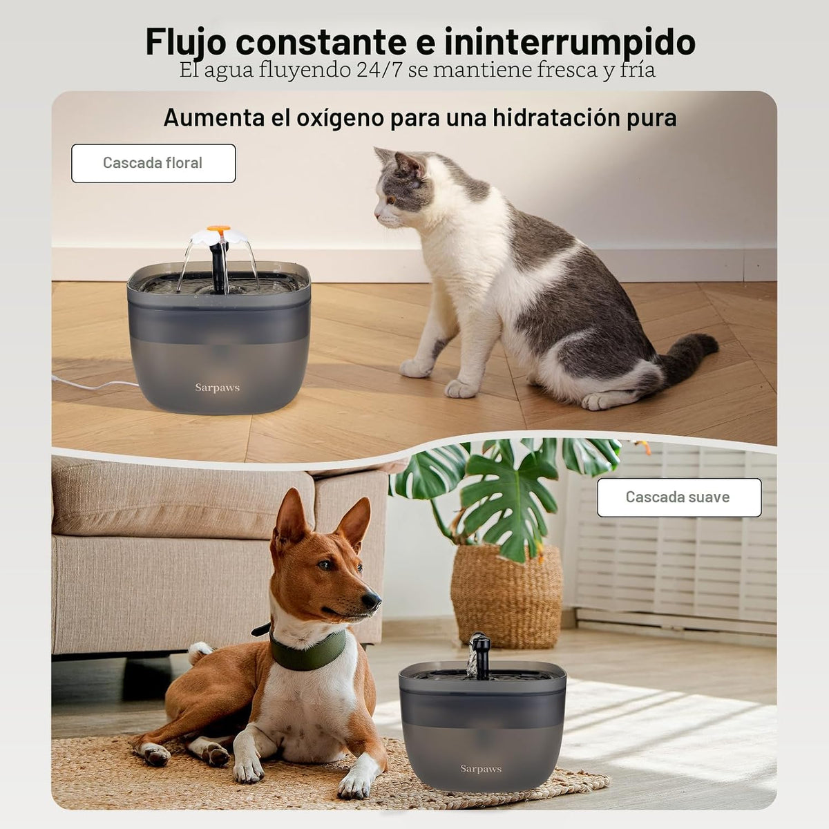Alimentador automático para gatos y dispensador de agua FW1, dispensador de comida para gatos con cable o batería, temporizador, alimentador para mascotas con tapa de cierre, bolsa desecante, control