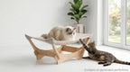 Cama rascador grande de sisal para gatos, salón de madera para hogares