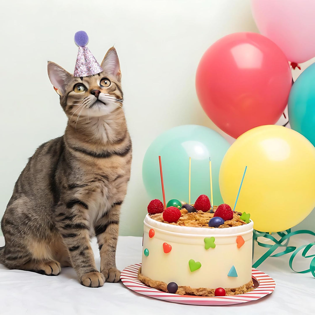 Matwsec 10 sombreros de cumpleaños para gatos mini
