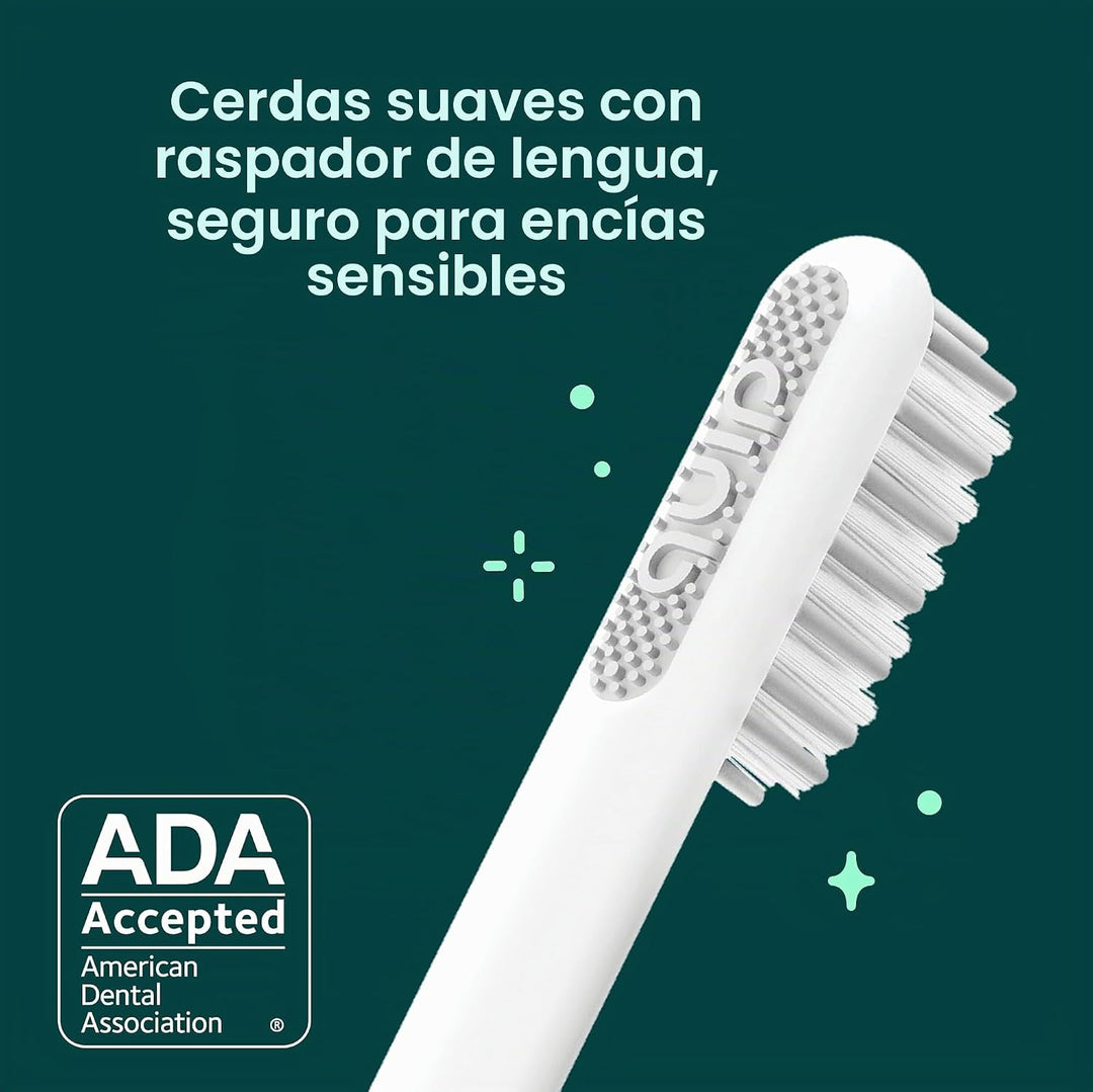 Quip - Cepillo de dientes sónico para adultos con temporizador - In...
