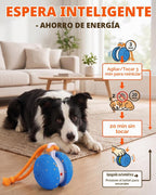 Juguetes interactivos para perros, bola automática de movimiento