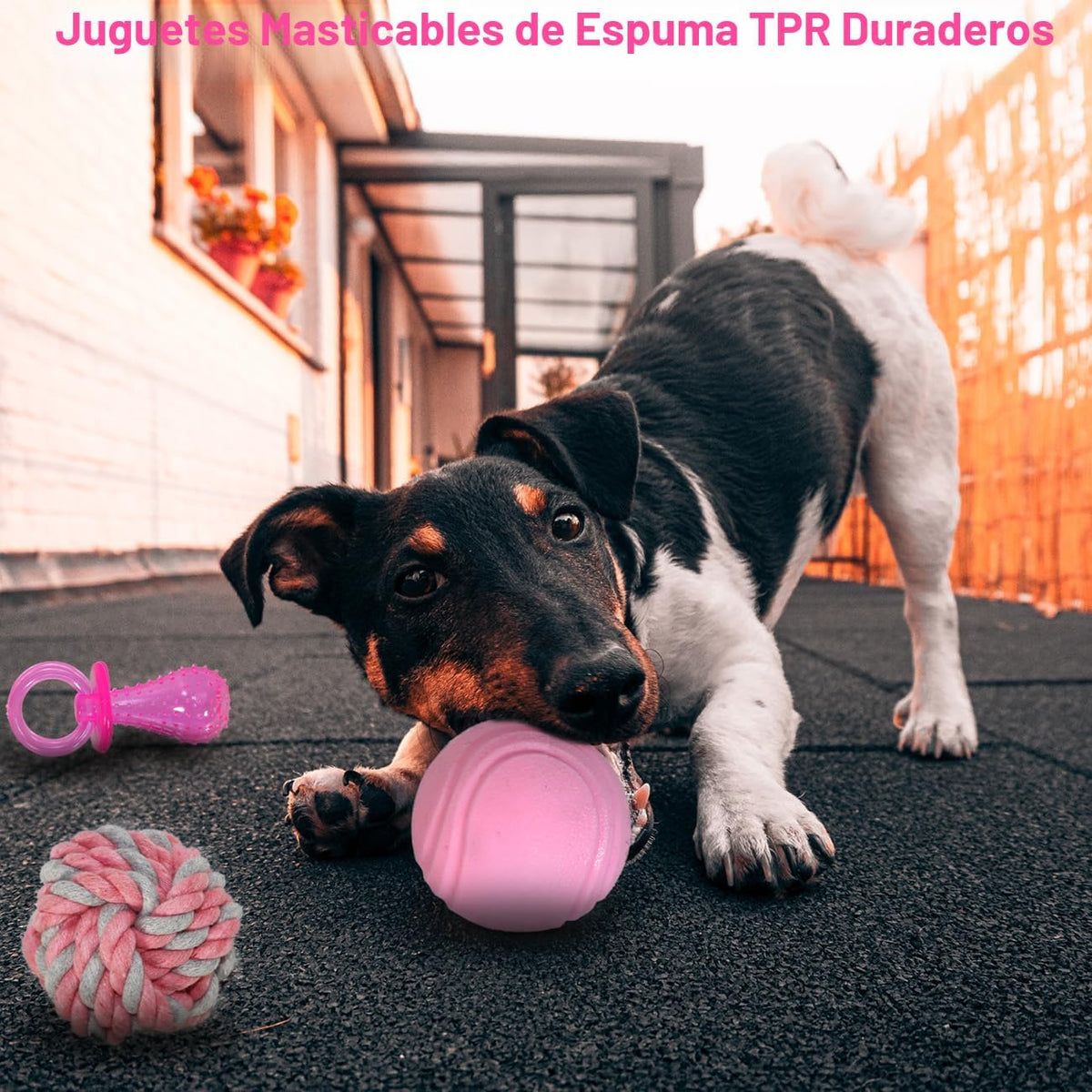 Beiker 20 Pack Pink Puppy Chew Toys, Dog Teething Toys para Puppies