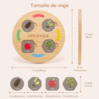 Woodtoe Juguetes de ciclo de vida, 12 temas Montessori Science Toys