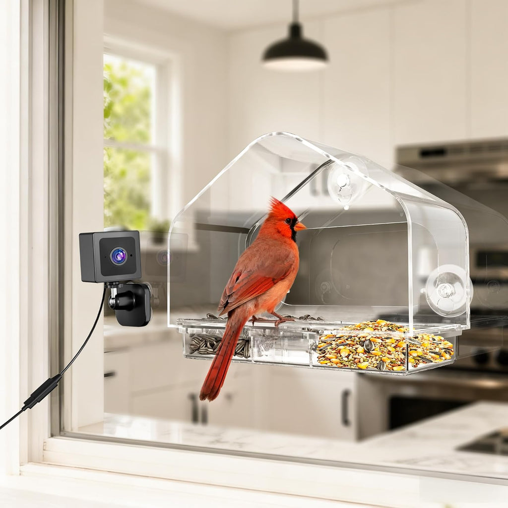 Comedero para pájaros con ventosas fuertes y cámara inteligente impermeable