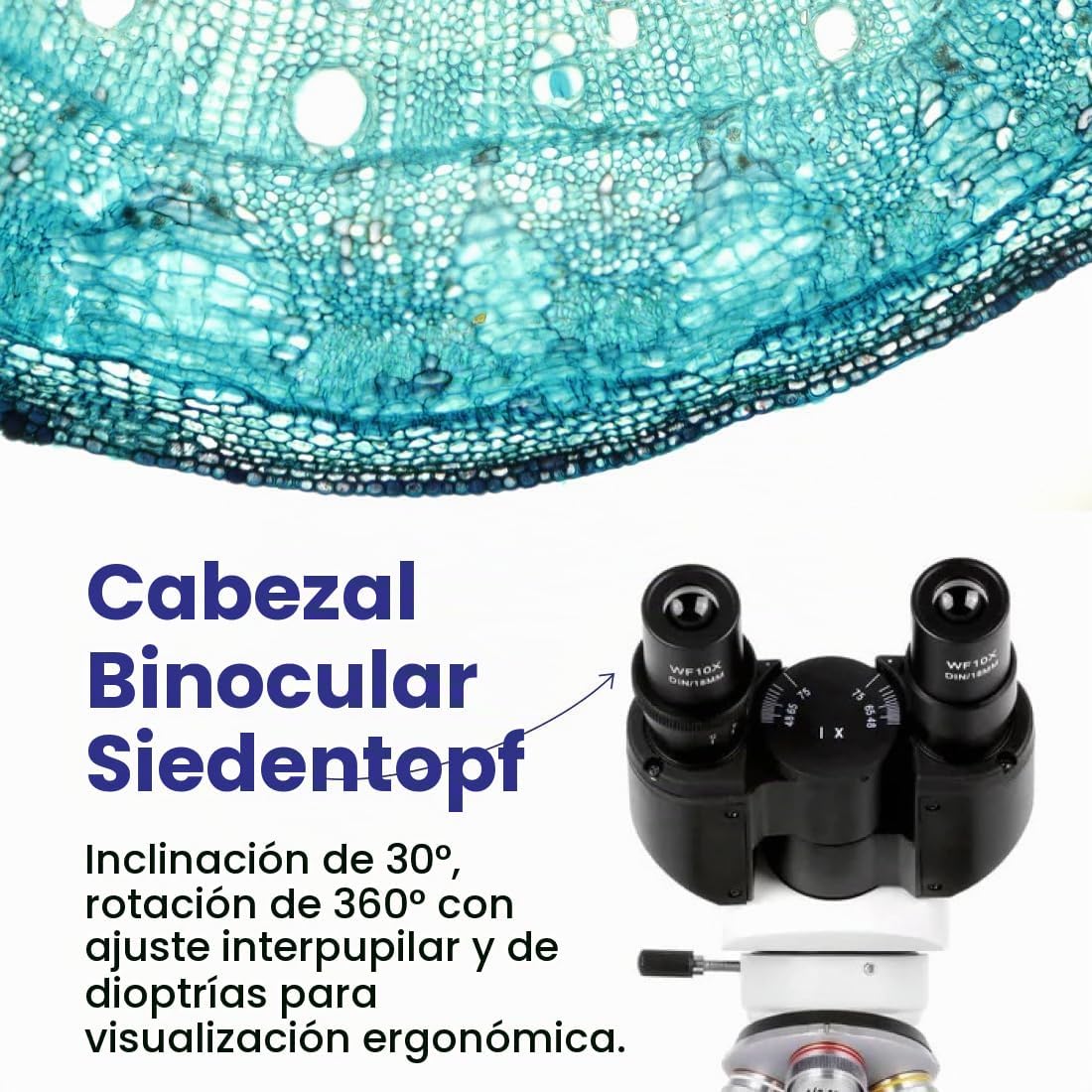 AmScope Serie B120 Microscopio compuesto binocular LED para estudiantes y profesionales - aumento 40X-2500X - Incluye cámara USB de 5MP y cabezal Siedentopf