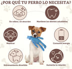 Paquete de 5 juguetes para perros sin relleno, juguete interactivo