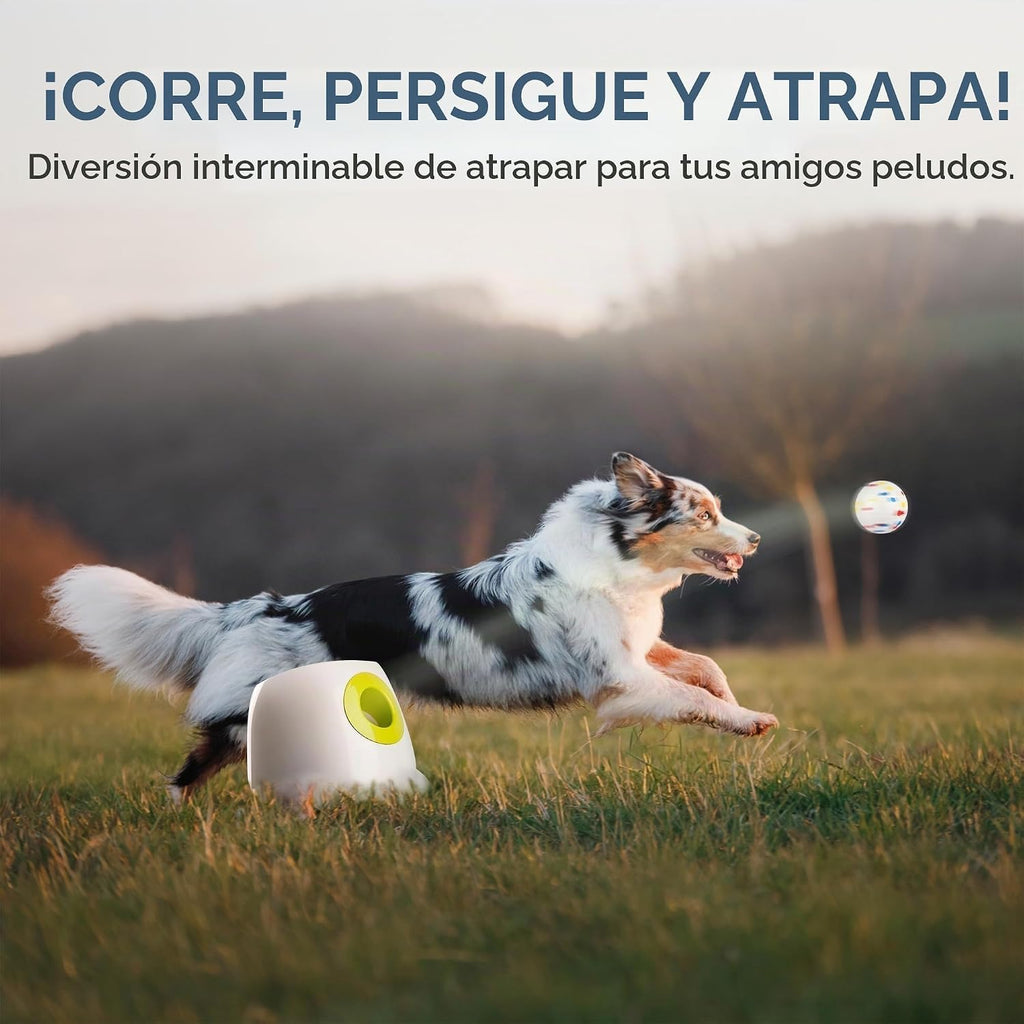 All for Paws - Lanzador automático de bolas para perros, juguete interactivo al aire libre para perros medianos a grandes, máquina lanzadora de bolas recargable para perros