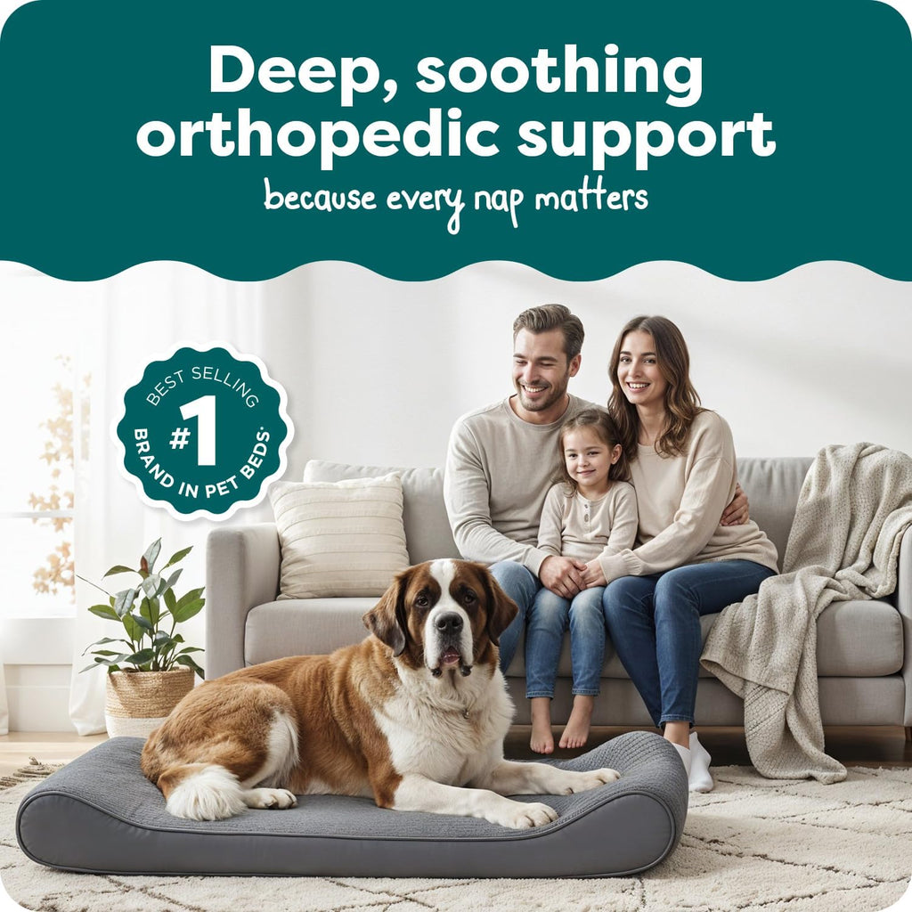 FurHaven Cama ortopédica para perros grandes, colchón de contorno de tumbona de lujo con losa de espuma ortopédica sólida para soporte de articulaciones, funda extraíble lavable, gigante XXXL, gamuza de felpa, gris