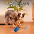 Cheerble Juguete interactivo inteligente para perros, rugby malvado, juguete chirriante para perro, movimiento automático, rebote y giro, material de E-TPU, juguete de búsqueda rebotante para uso en interiores y exteriores y perros pequeños a grandes