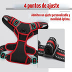 rabbitgoo Arnés para perro, sin tirones para perros grandes con 2 clips